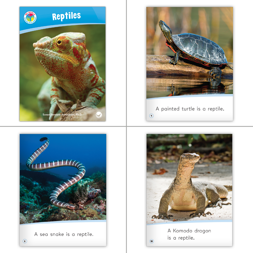 http://www.hameraypublishing.com/cdn/shop/files/MW_REPTILES_1024x1024.png?v=1697834115