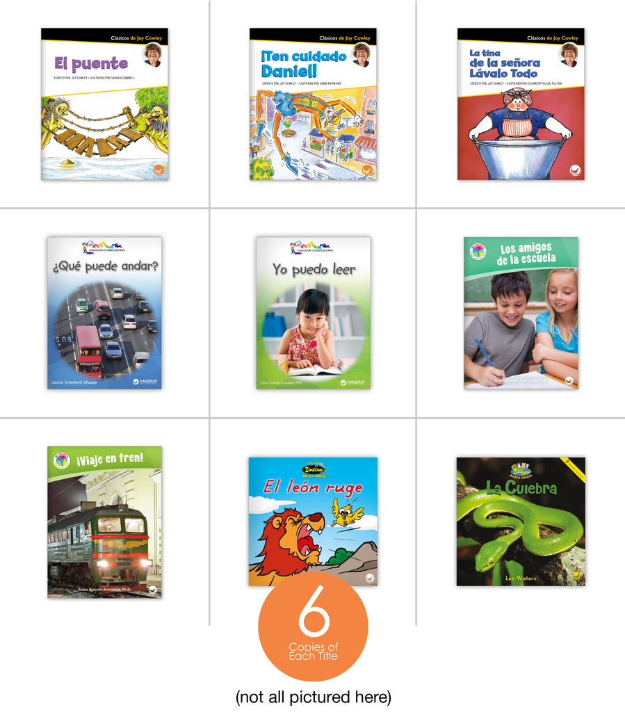 Spanish Level B Guided Reading Set - Hameray Publishing