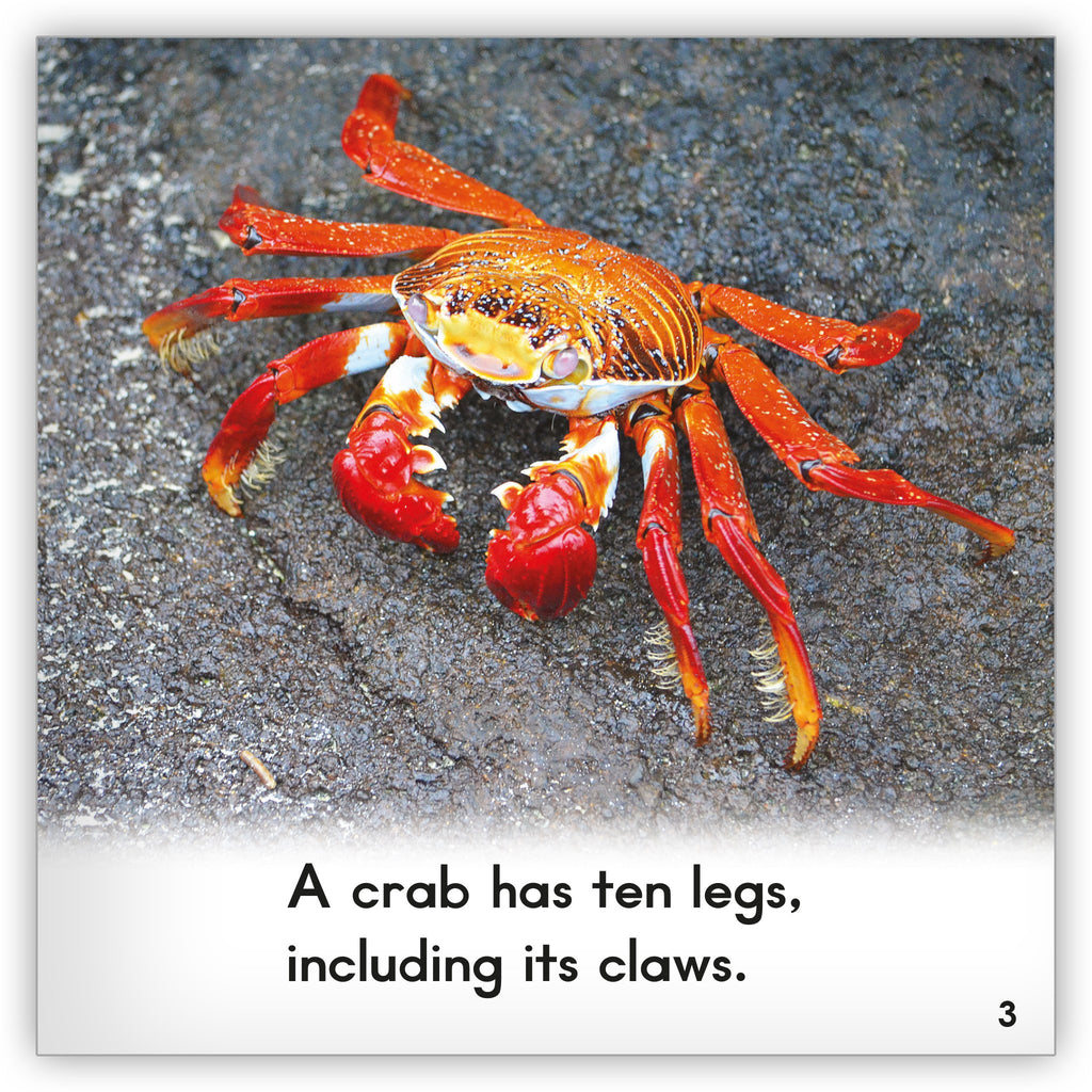 Crawling Crabs - Bearport Publishing
