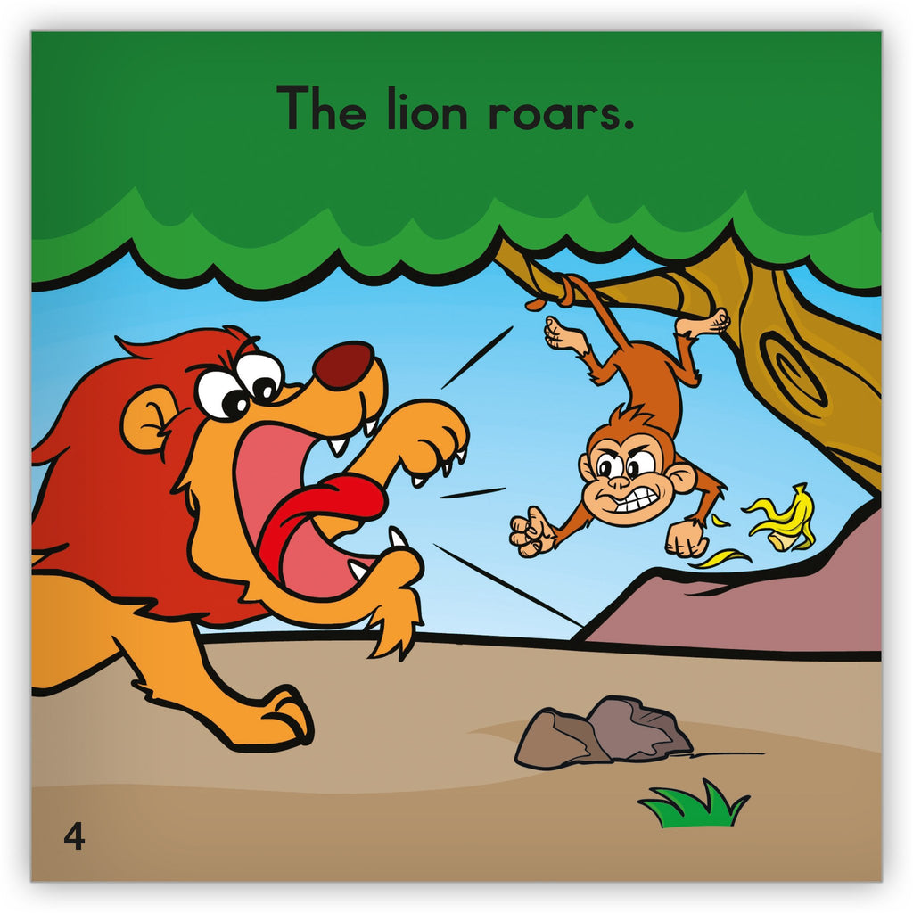 The Lion's Roar - things I have learnt (part 1) — Adonsonia Lodge