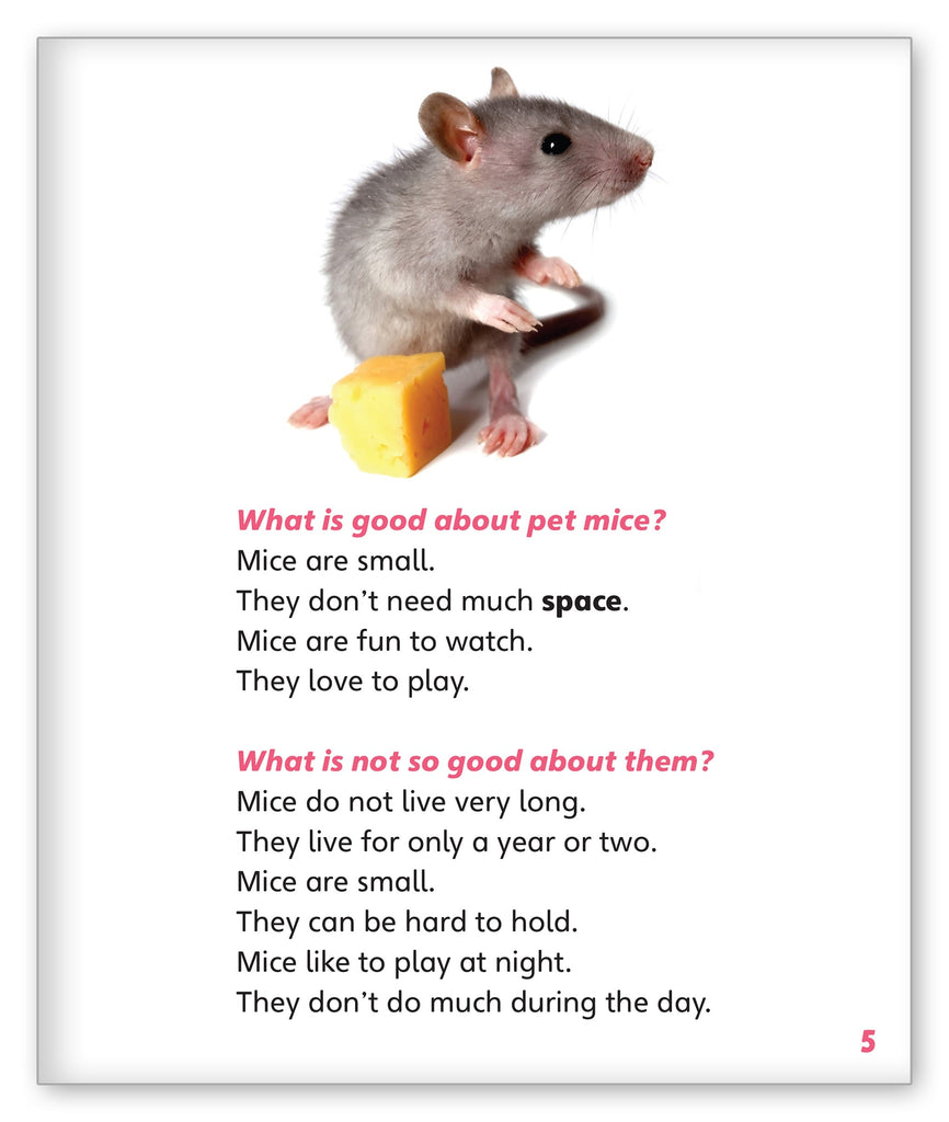 http://www.hameraypublishing.com/cdn/shop/products/hpg-pet-mice-2_1024x1024.jpg?v=1641232548