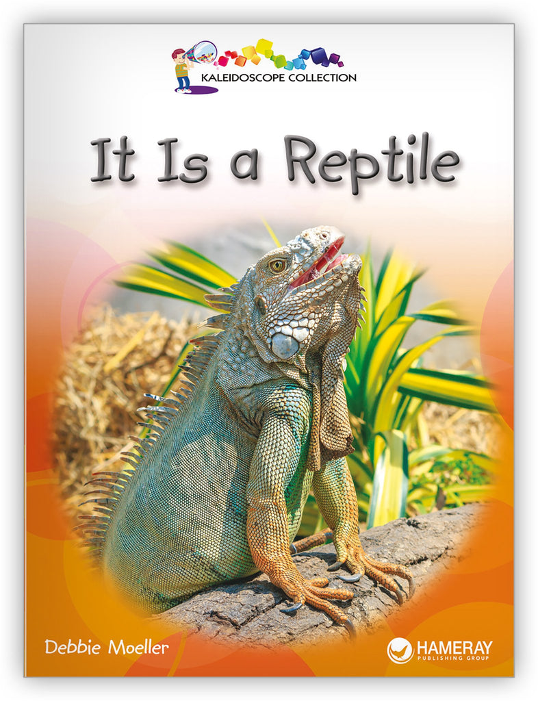 Replying to @Shell 🐚 #reptile #reptiles #reptilesoftiktok