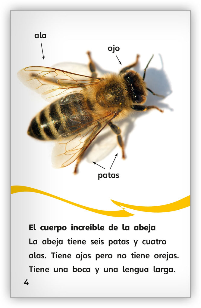 La Historia de la Miel (the Story of Honey): Todo Comienza Con Una Flor (It  Starts with a Flower)