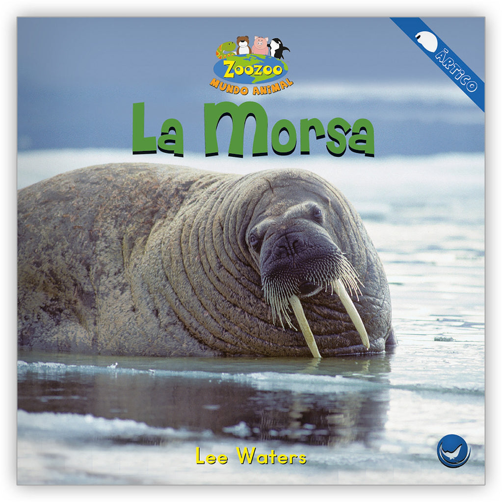 OBEDECE A LA MORSA (VERSION ORIGINAL), Obedece a la Morsa / Obey The  Walrus