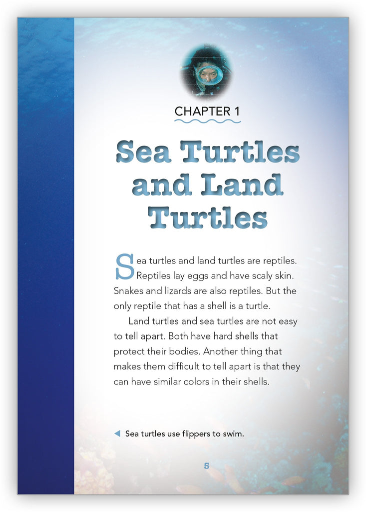 Sea Turtle - Zoozoo Animal World - Hameray Publishing