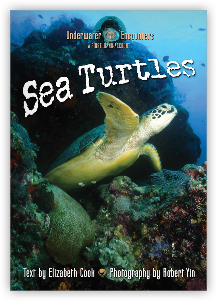 A Book About Sea Turtles