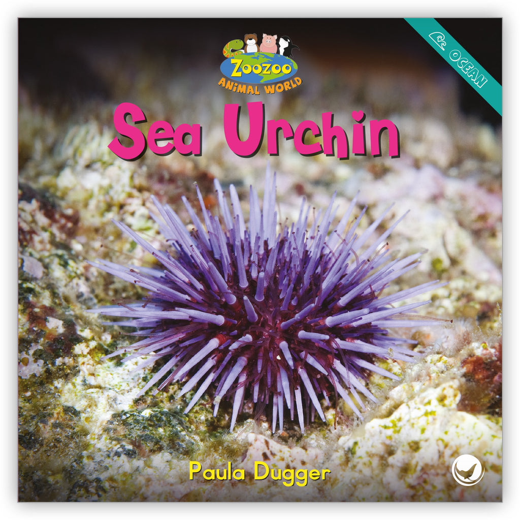 http://www.hameraypublishing.com/cdn/shop/products/sea-urchin_1024x1024.jpg?v=1571876517