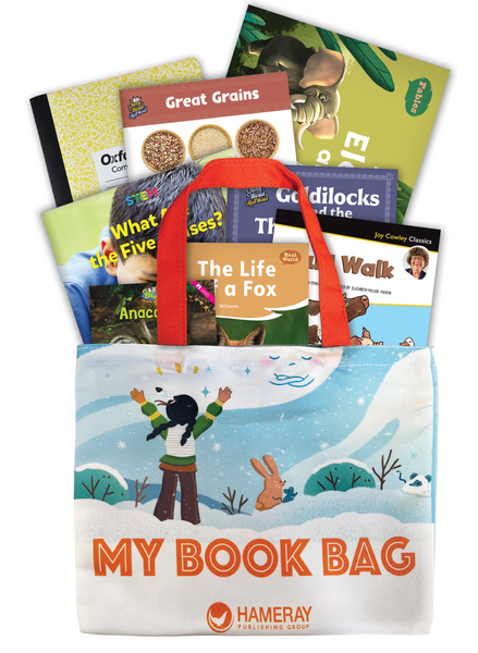 2nd grade book outlet bags