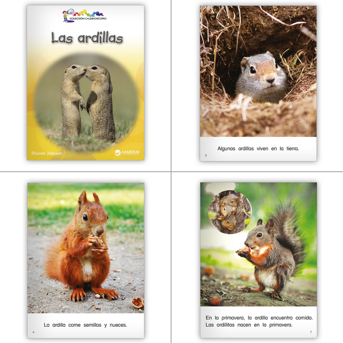 Spanish 1st Grade Big Book Set