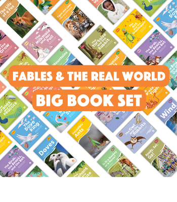 Fables & the Real World Big Book Set from Fables & the Real World