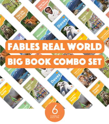 Real World (Fables) Big Book Combo Set from Fables & the Real World