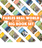 Real World (Fables) Big Book Set