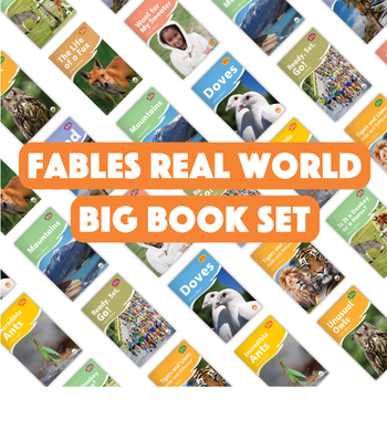 Real World (Fables) Big Book Set from Fables & the Real World