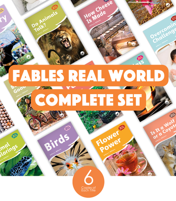 Fables Real World Complete Set (6-Packs) from Fables & the Real World