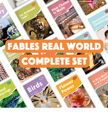 Fables Real World Complete Set from Fables & the Real World