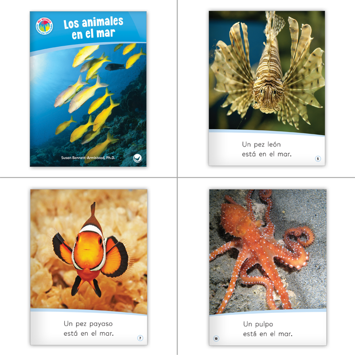 Animales por todos lados Set (6-Packs)