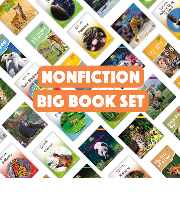 Nonfiction Big Book Set