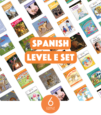 Spanish Level E Set (6-Packs) from Various Series