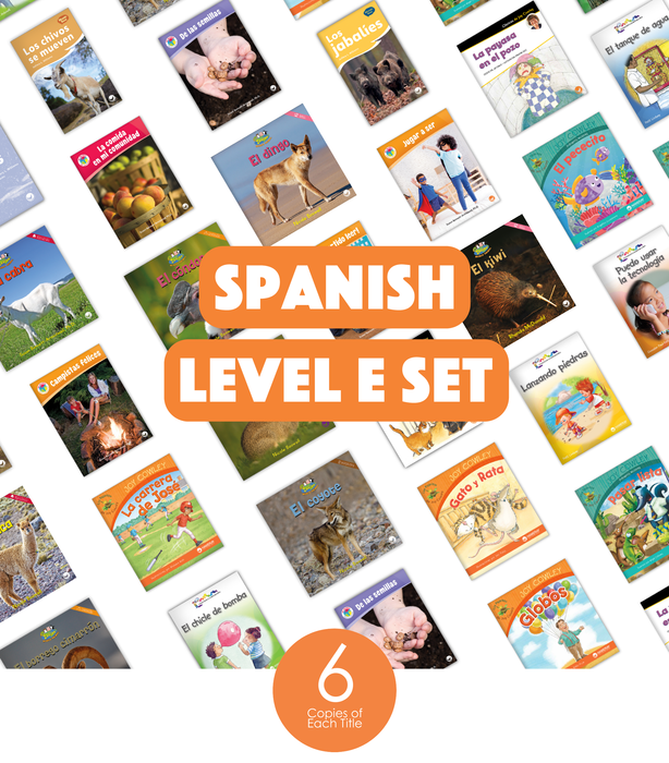 Spanish Level E Set (6-Packs)