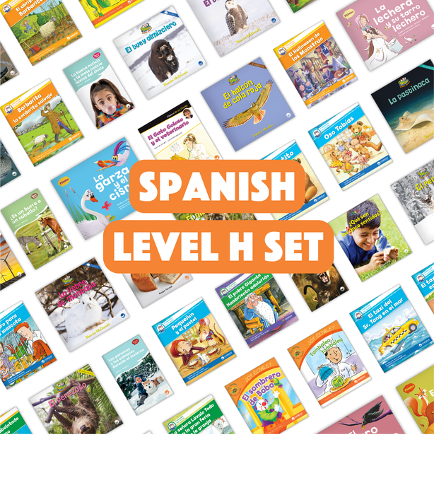 Spanish Level H Set