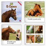 Spanish Animals Kindergarten Theme Set