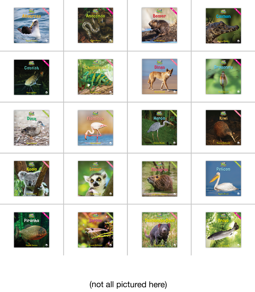 Zoozoo Animal World Set 4 - Hameray Publishing