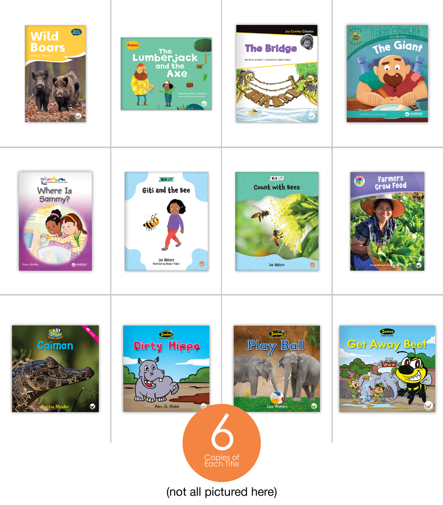 2022 Kindergarten Guided Reading Library - Hameray Publishing