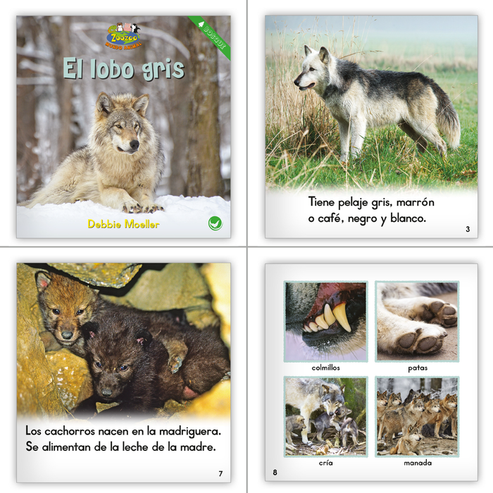 2022 K-2 Spanish Nonfiction Guided Reading Library