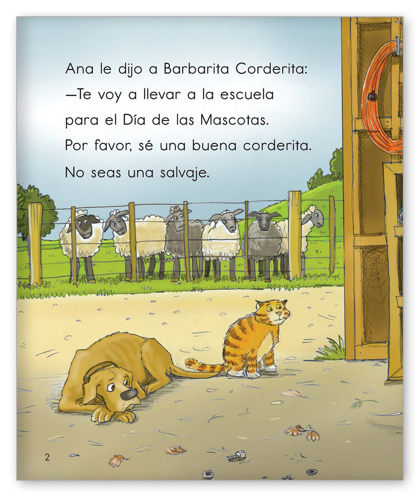 Barbarita y el día de las mascotas - Colección Joy Cowley - Hameray ...