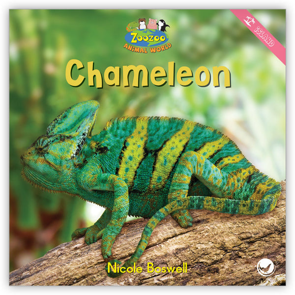 Chameleon (family Chamaeleonidae) – Our Wild World
