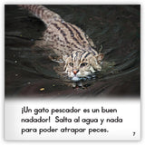 El gato pescador