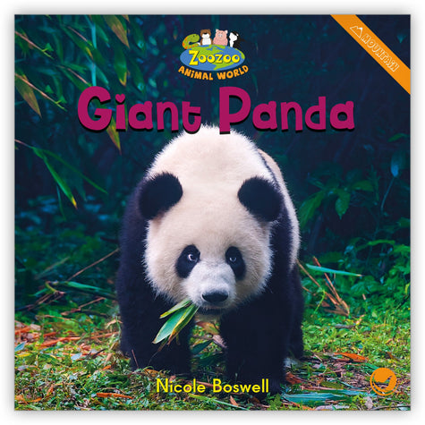 big picture giant panda