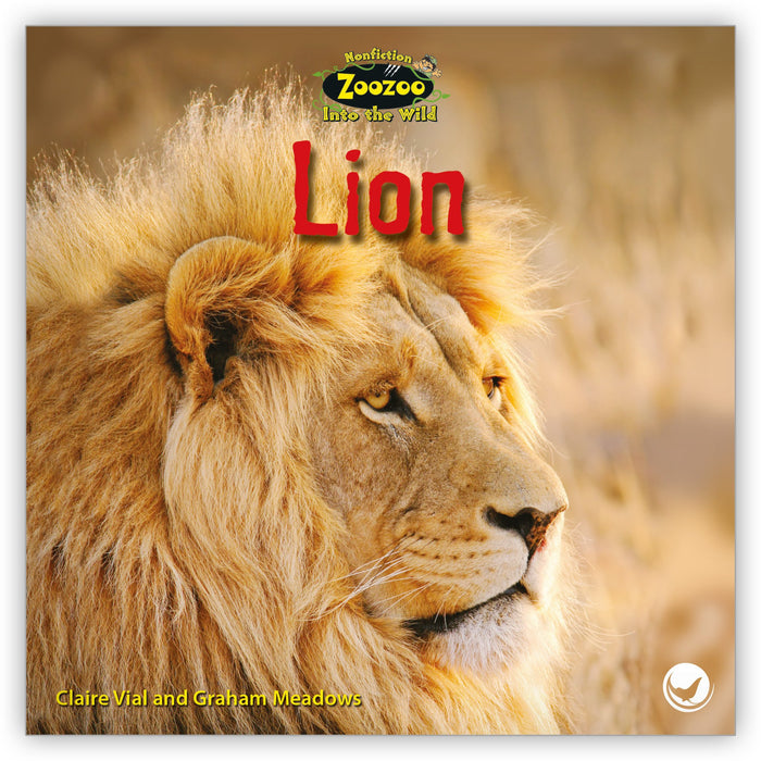 700+] Lion Pictures
