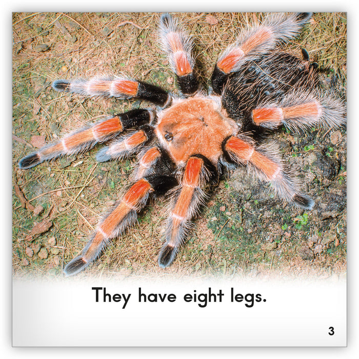 Tarantula Big Book